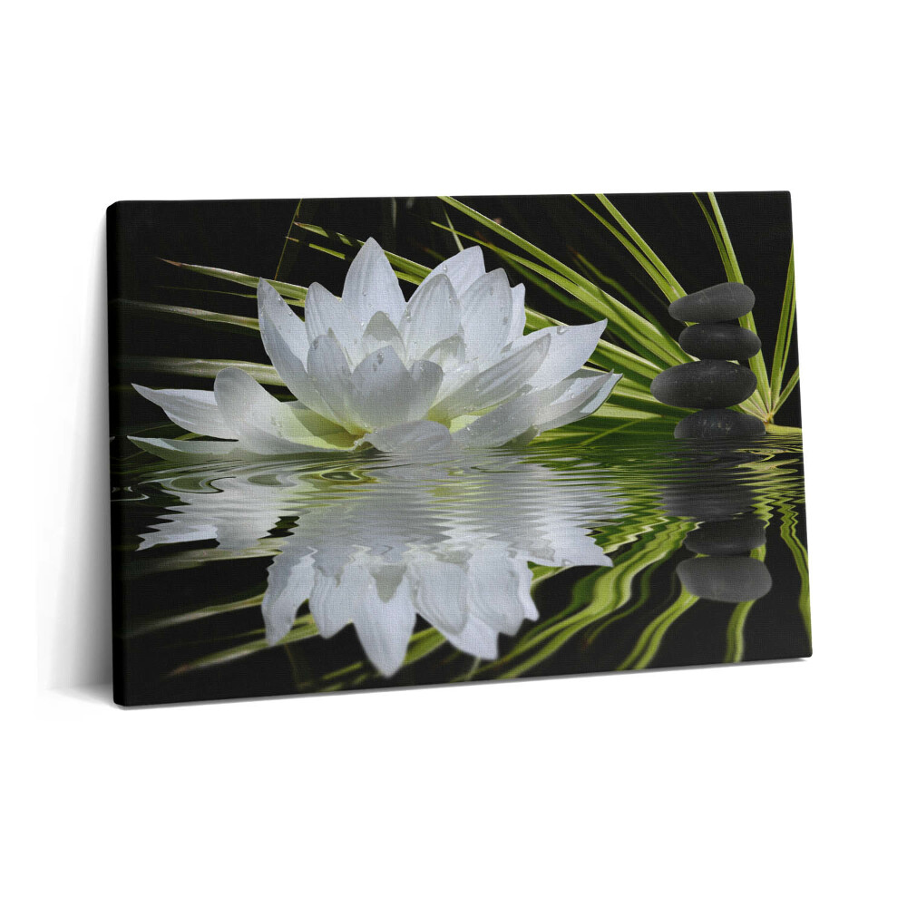 Tablou pe pânză 60x40 Nufăr și frunze