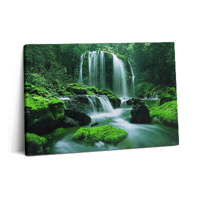 Tablou pe pânză 60x40 Cascadă printre mușchi