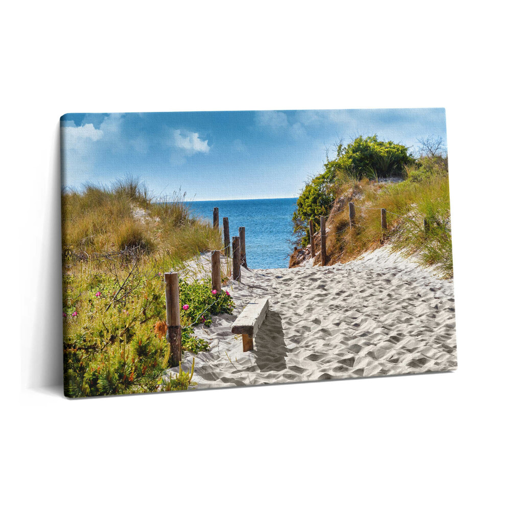 Tablou pe pânză 60x40 Drum nisipos spre plajă și mare