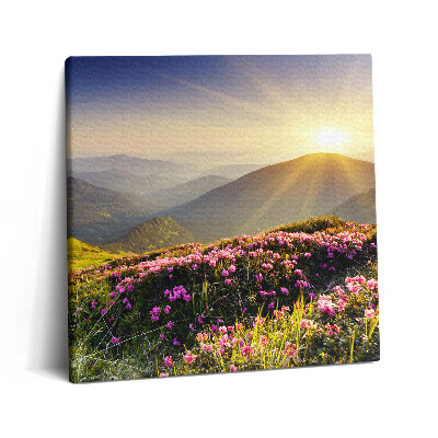 Tablou pe pânză canvas 60x60 Munți și o pajiște cu flori