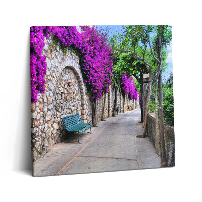 Tablou pe pânză canvas 60x60 Drumul Florilor din Capri, Italia