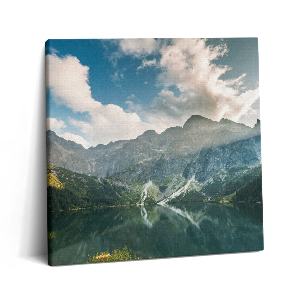 Tablou pe pânză canvas 60x60 Peisaj montan natural