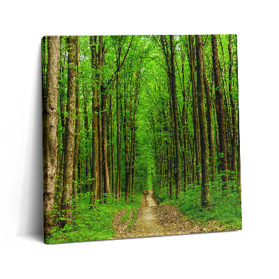 Tablou pe pânză canvas 60x60 Drum forestier printre copaci