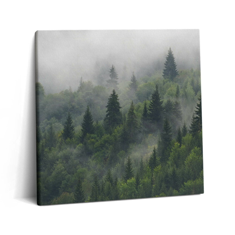 Tablou pe pânză canvas 60x60 Peisaj forestier în ceață