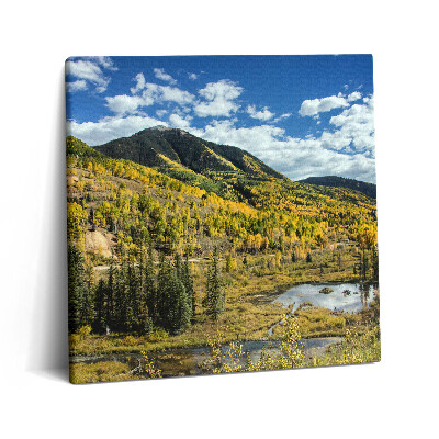 Tablou pe pânză canvas 60x60 Peisaj cu vegetație montană