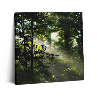 Tablou pe pânză canvas 60x60 Razele soarelui și copacii
