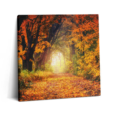 Tablou pe pânză canvas 60x60 Tunelul Pădurii cu Frunze de Toamnă