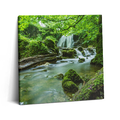 Tablou pe pânză canvas 60x60 Cascadă în jungla sălbatică