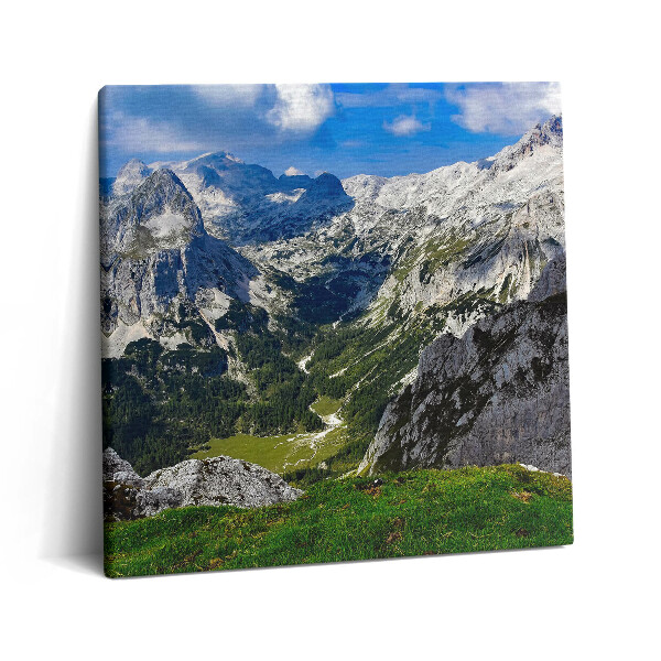 Tablou pe pânză canvas 60x60 Peisajul Munților Stâncoși