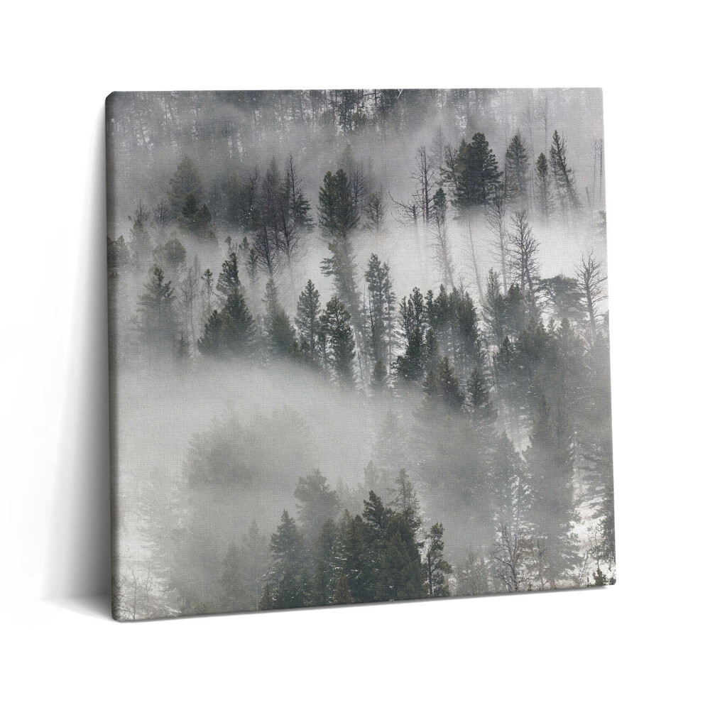 Tablou pe pânză canvas 60x60 Peisaj de pădure încețoșată