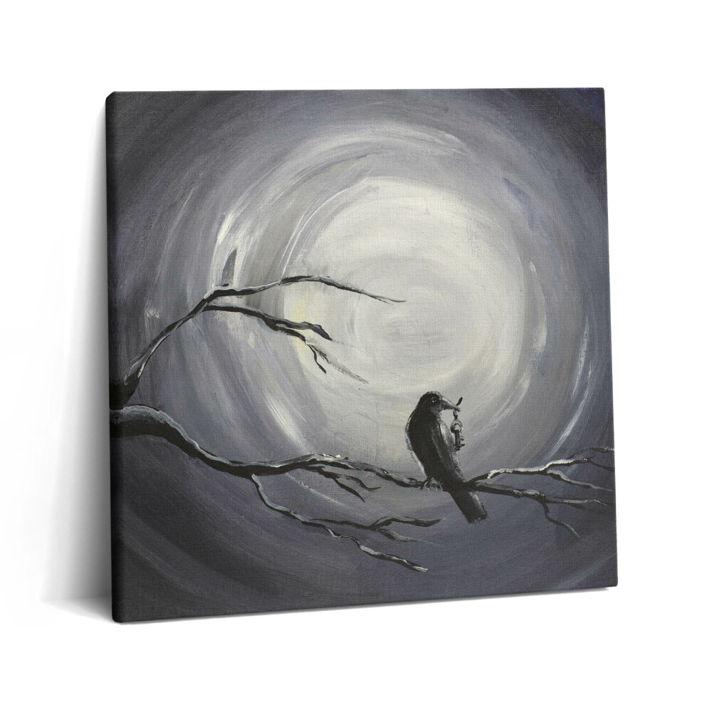 Tablou pe pânză canvas 60x60 Corb în lumina lunii