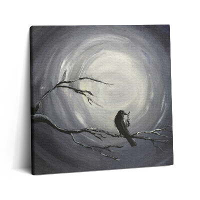 Tablou pe pânză canvas 60x60 Corb în lumina lunii