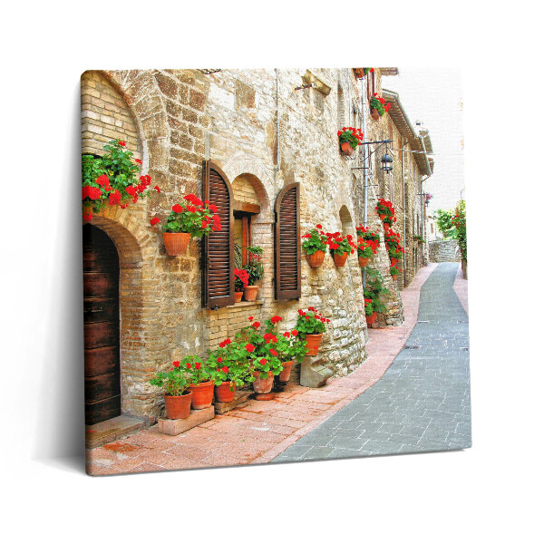 Tablou pe pânză canvas 60x60 O stradă pitorească cu flori