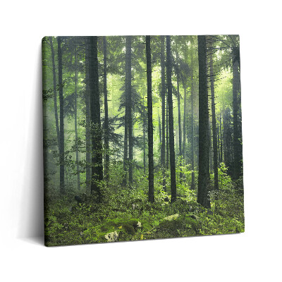 Tablou pe pânză canvas 60x60 Peisaj de copaci și vegetație forestieră