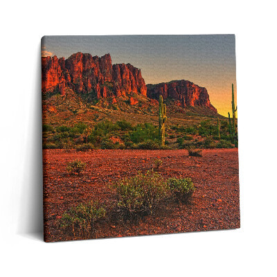 Tablou pe pânză canvas 60x60 Apus de soare cu un munte în Phoenix, Arizona
