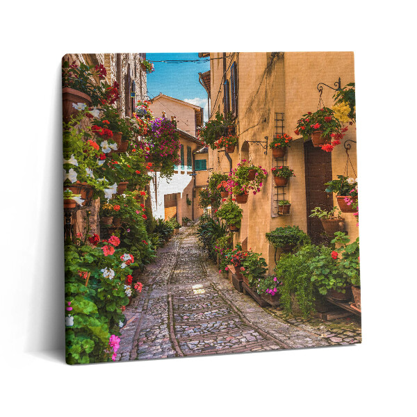 Tablou pe pânză canvas 60x60 Strada Florilor din Umbria