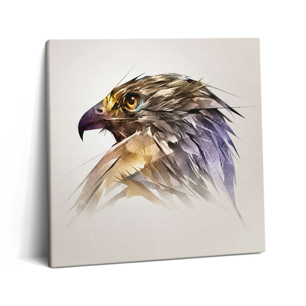 Tablou pe pânză canvas 60x60 Pasăre de pradă regală