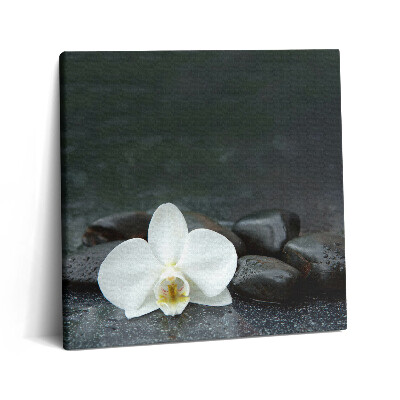 Tablou pe pânză canvas 60x60 Pietre Zen cu flori albe