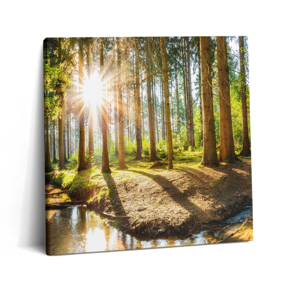 Tablou pe pânză canvas 60x60 Soarele din spatele copacilor din pădure