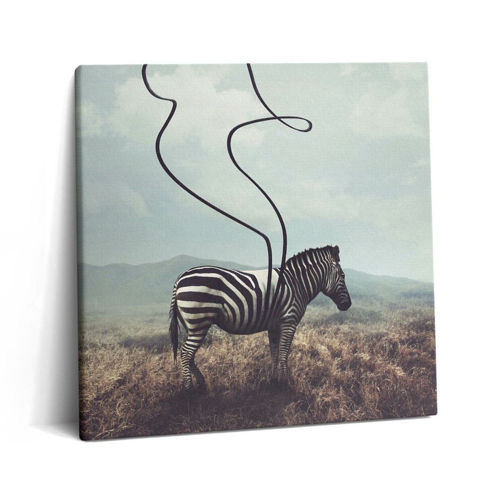 Tablou pe pânză canvas 60x60 Ilustrație cu dungi zebră
