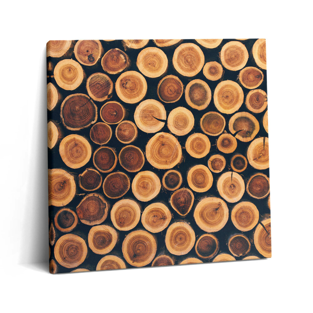 Tablou pe pânză canvas 60x60 Trunchiuri de copaci din lemn, zile de vară