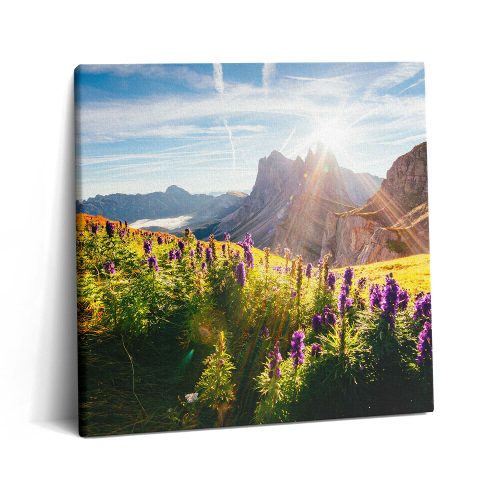 Tablou pe pânză canvas 60x60 Peisaj dolomitic