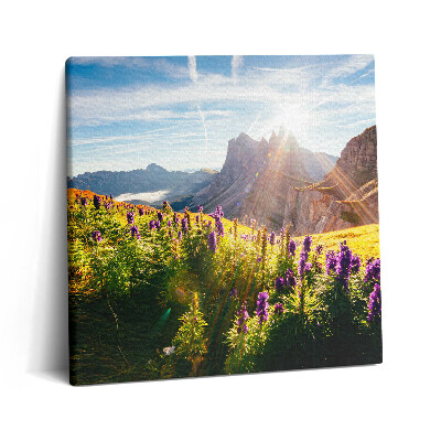 Tablou pe pânză canvas 60x60 Peisaj dolomitic