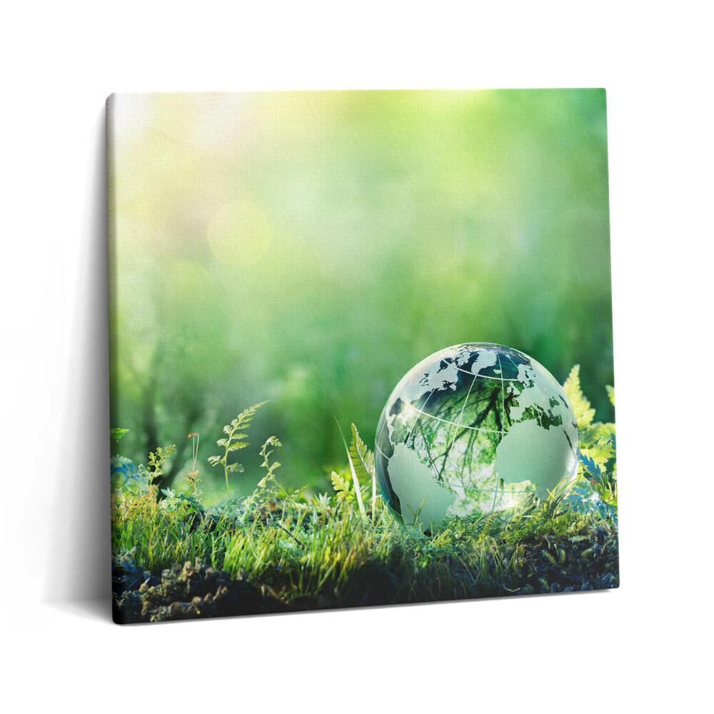 Tablou pe pânză canvas 60x60 Glob pe iarbă