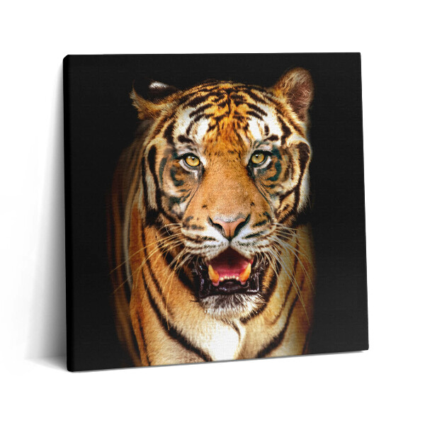 Tablou pe pânză canvas 60x60 Pisică tigru sălbatică expresivă