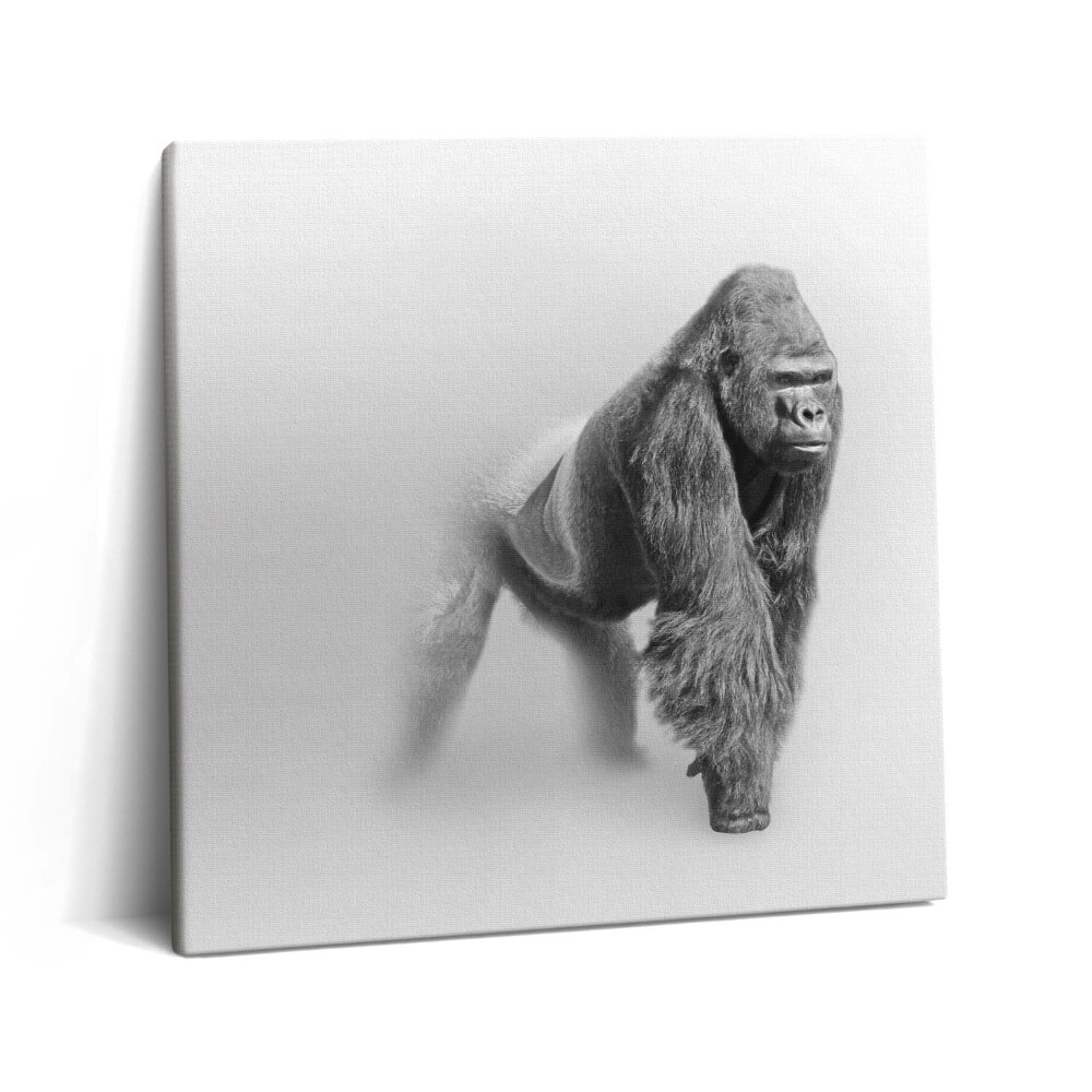 Tablou pe pânză canvas 60x60 Colecția de artă a vieții sălbatice