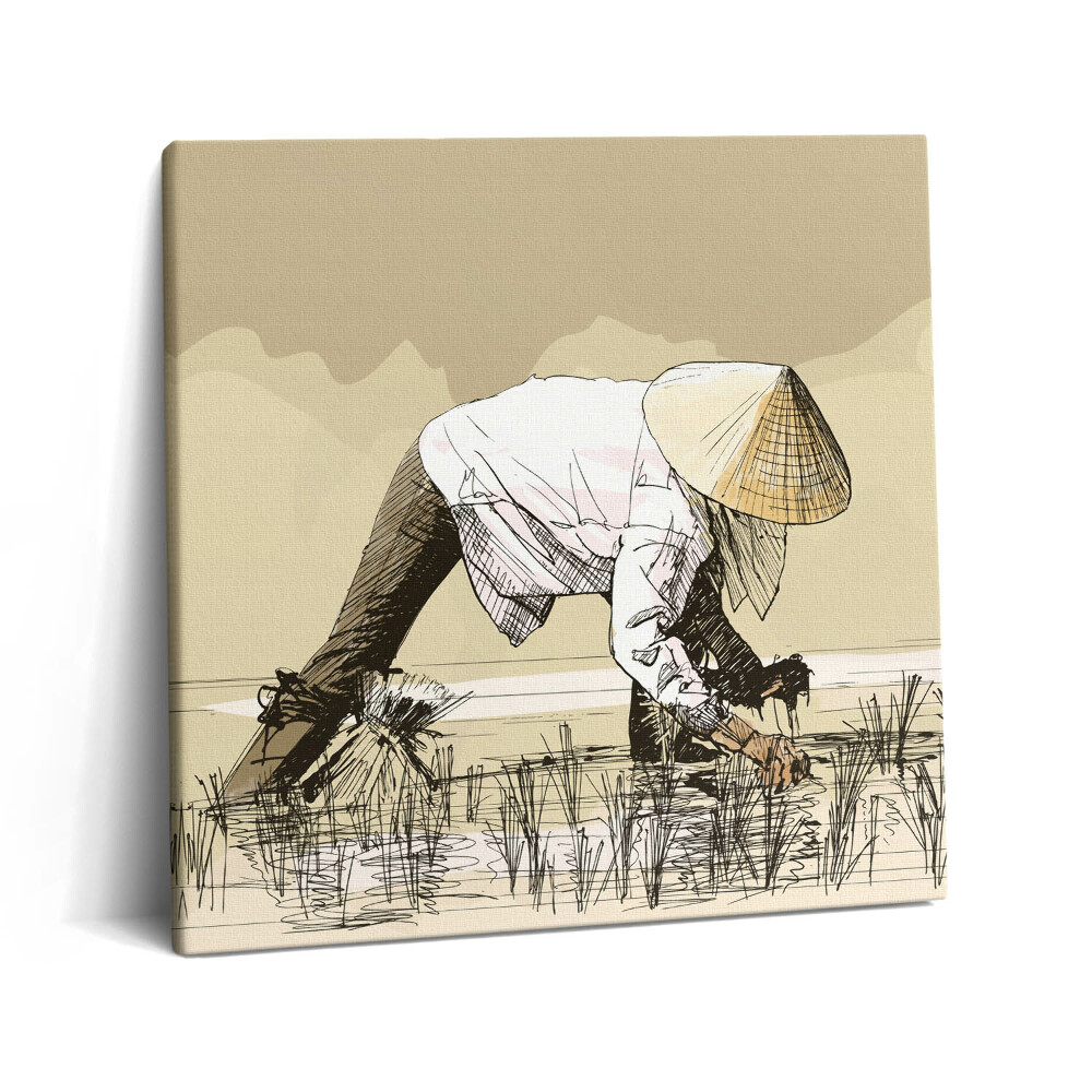 Tablou pe pânză canvas 60x60 Două femei recoltează orez în Asia