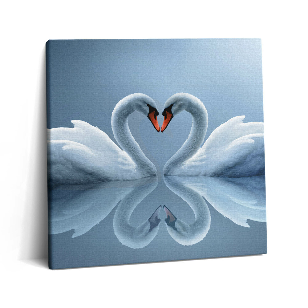 Tablou pe pânză canvas 60x60 Lebede aranjate ca semn al iubirii