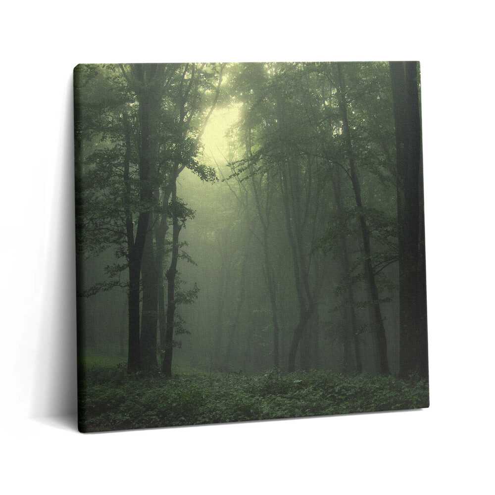 Tablou pe pânză canvas 60x60 Pădurea încețoșată dimineața