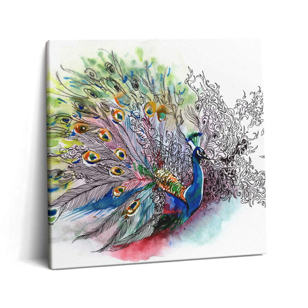 Tablou pe pânză canvas 60x60 Păun colorat