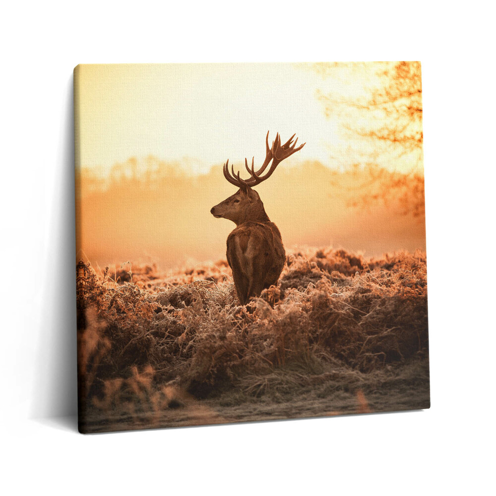 Tablou pe pânză canvas 60x60 Cerb la răsărit