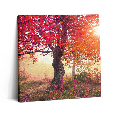 Tablou pe pânză canvas 60x60 Copaci de toamnă