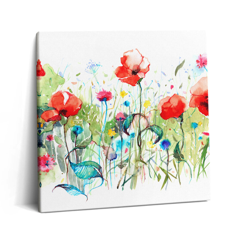 Tablou pe pânză canvas 60x60 Maci în pajiște