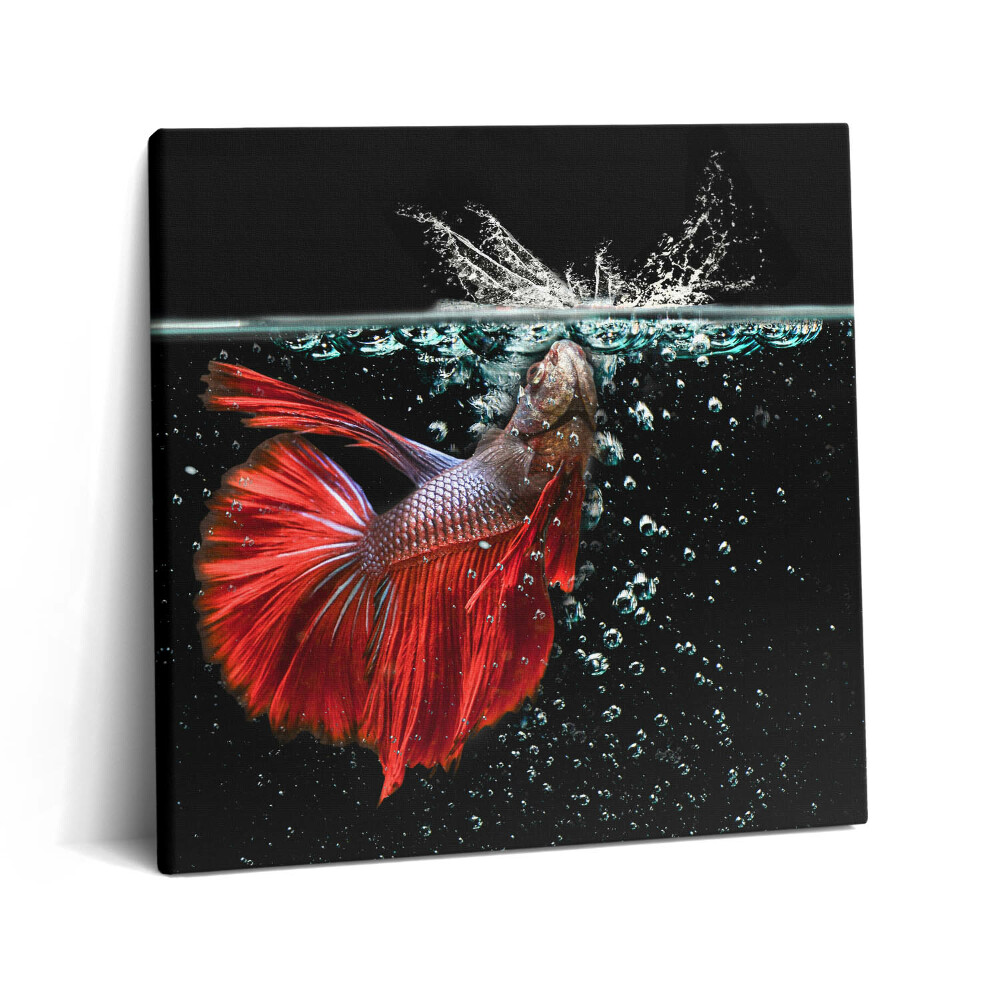 Tablou pe pânză canvas 60x60 Peștii din acvariu