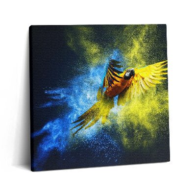 Tablou pe pânză canvas 60x60 Papagal colorat