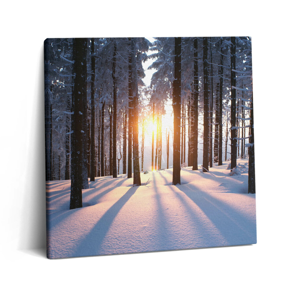 Tablou pe pânză canvas 60x60 Apus de soare și pădure iarna