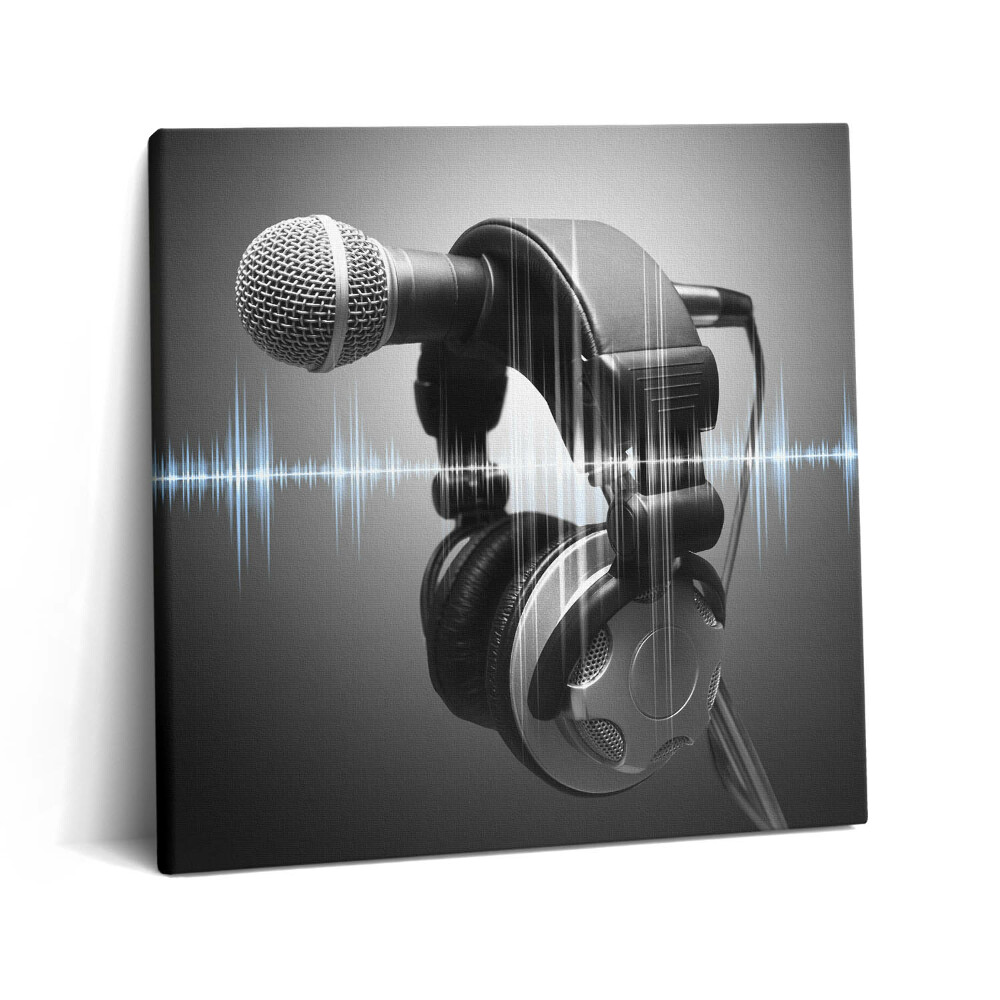 Tablou pe pânză canvas 60x60 Microfon și căști