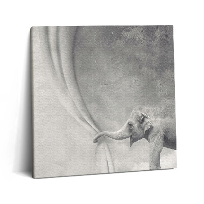 Tablou pe pânză canvas 60x60 Elefantul din spatele cortinei