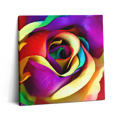 Tablou pe pânză canvas 60x60 Trandafir Curcubeu