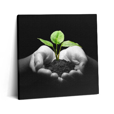 Tablou pe pânză canvas 60x60 Plantă în mâini
