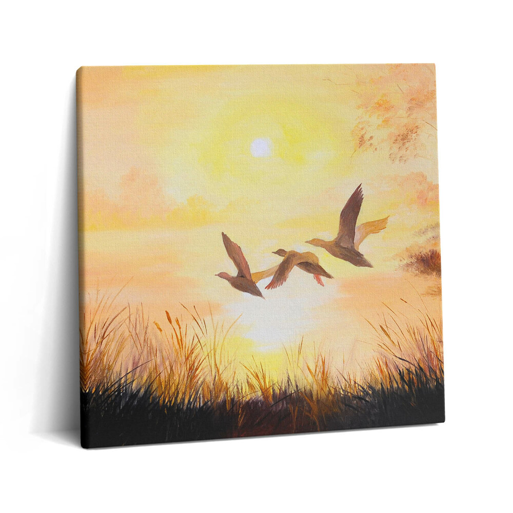 Tablou pe pânză canvas 60x60 Macarale la apus