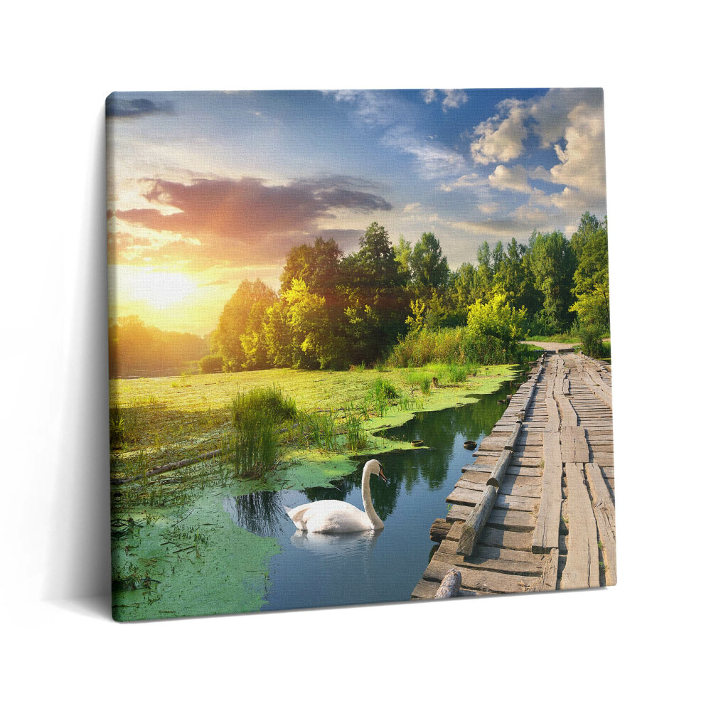 Tablou pe pânză canvas 60x60 Lebădă la apus