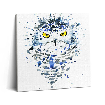 Tablou pe pânză canvas 60x60 Aspectul bufniței