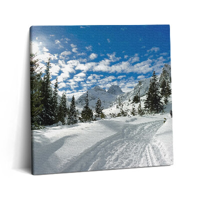 Tablou pe pânză canvas 60x60 Peisaj montan iarna
