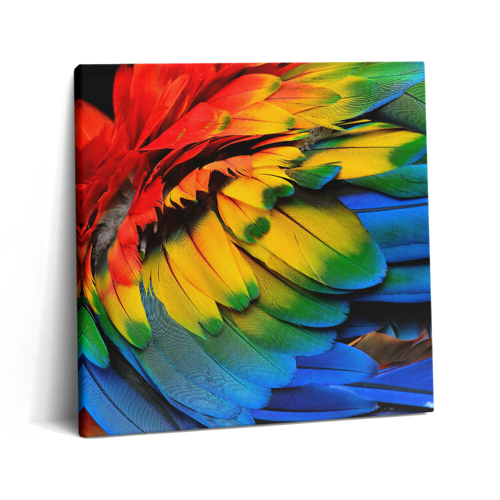 Tablou pe pânză canvas 60x60 Aripi colorate ale unui papagal macaw