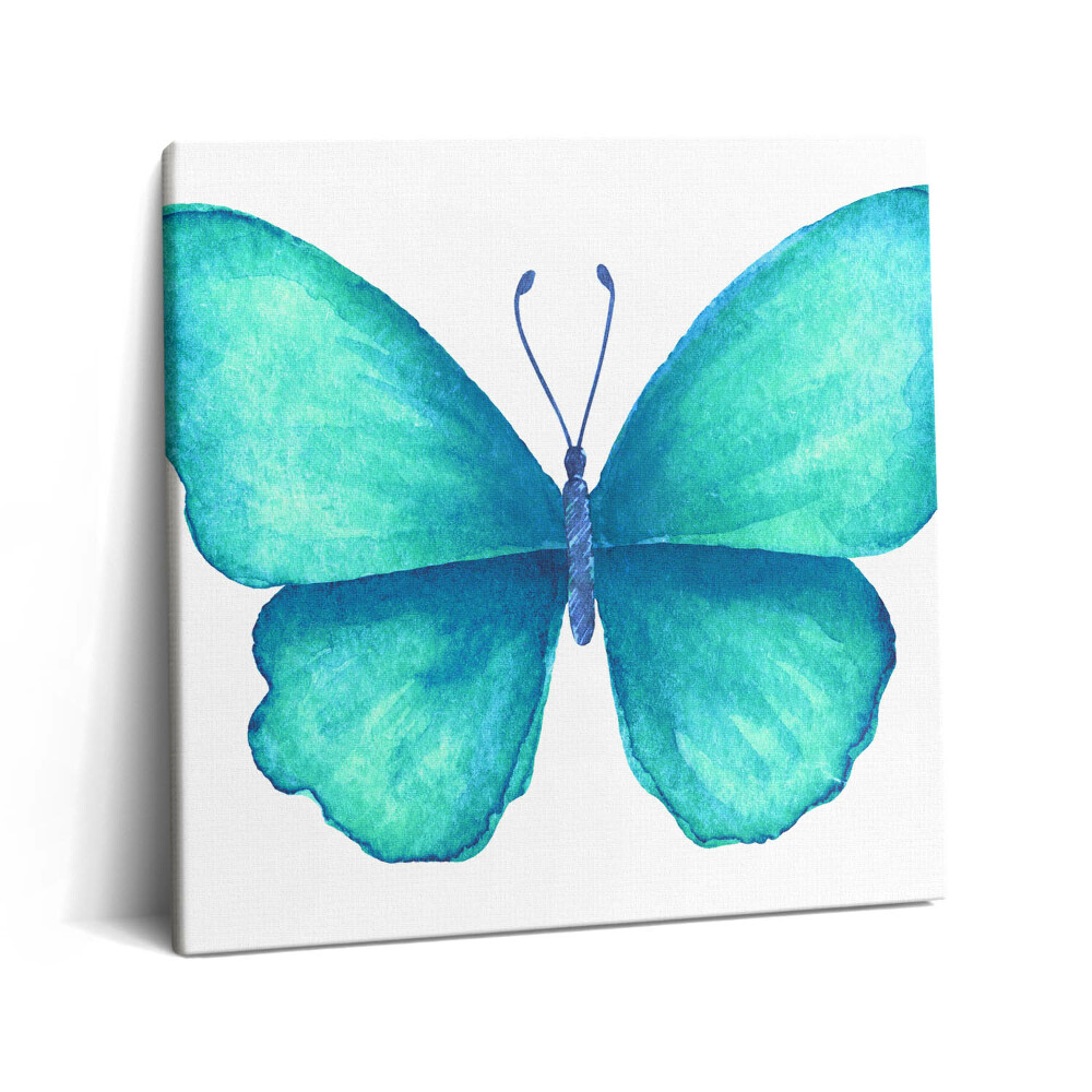 Tablou pe pânză canvas 60x60 Fluture de vară turcoaz
